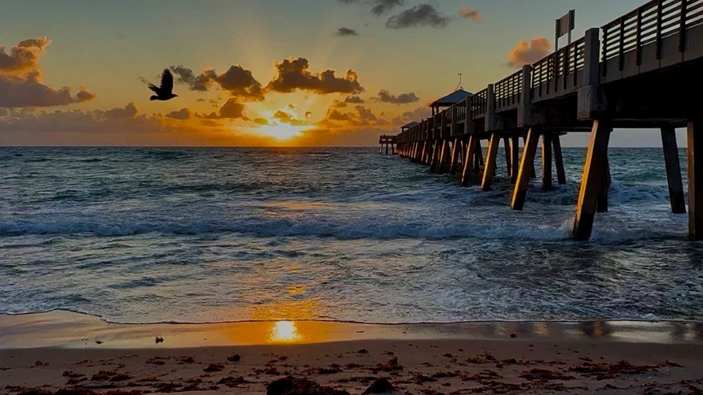 Commissioners back free beach parking for Palm Beach County residents