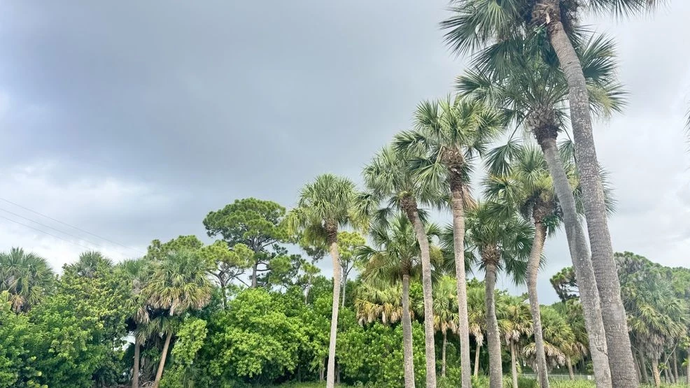 Heat and isolated strong storms remain in the forecast