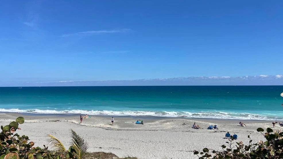 A day at the beach could soon start with a parking fee under Palm Beach County proposal
