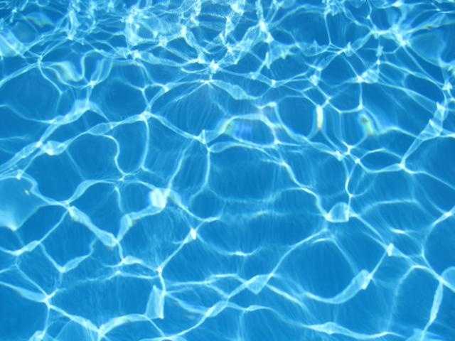 Fun things to do on the Treasure Coast and in Palm Beach this weekend